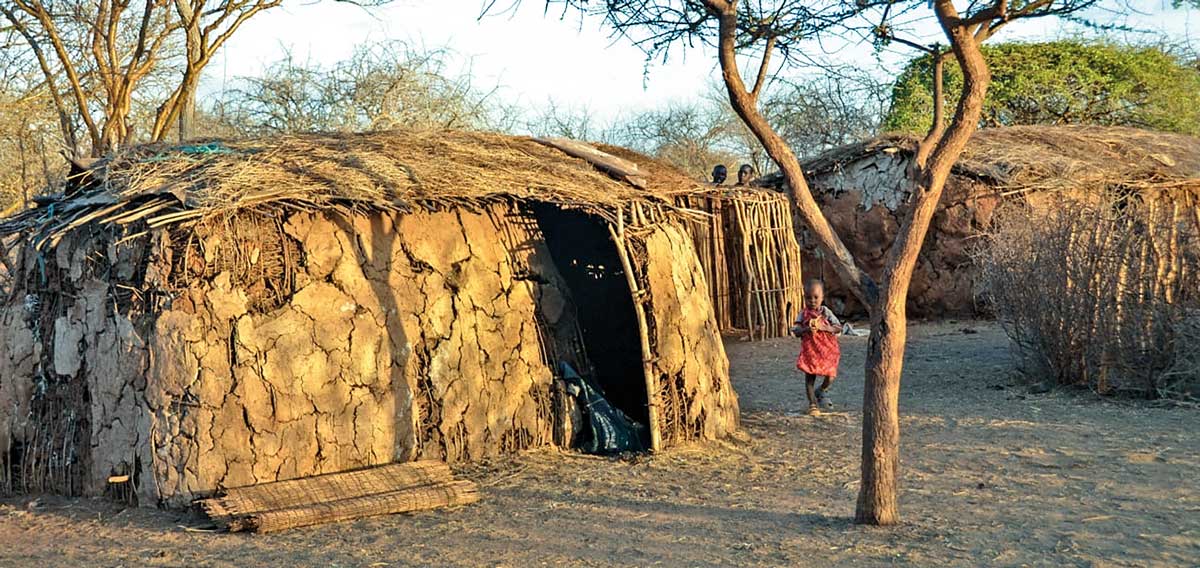 Felixfebre21-2web Zimbabwe