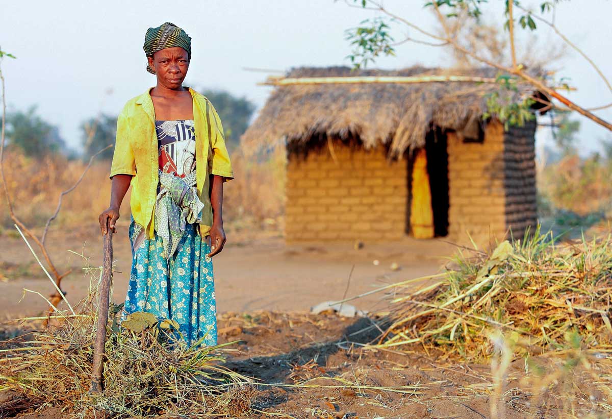 Felixfebre21-2web Zimbabwe